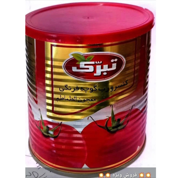 رب گوجه فرنگی 800 گرم تبرک